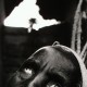 Eugene Richards, "River Blindess", 1998, 12½x8½”, gelatin silver print