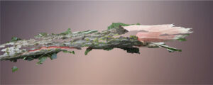 “Meet the Artist” with Andrea Frank