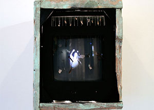 "The Frustration of Expression", curated by Dorota Czerner, on view November 13 - December 23, 2010
