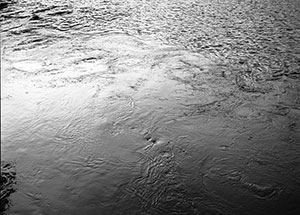 "A River Runs Through Me", curated by Ariel Shanberg, August 8 - September 20, 2009