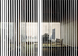 "Surface Tension", curated by Ariel Shanberg & Akemi Hiatt, May 5 - July 1, 2012