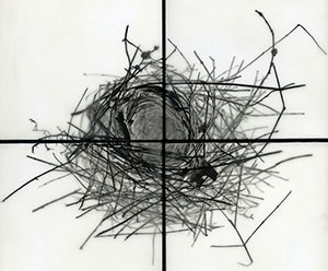 "Photography Now 2011", April 9 - May 30, 2011 