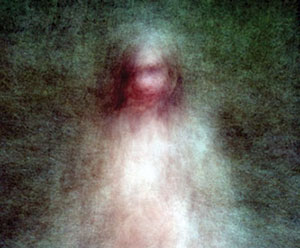 "Photography Now 2011", April 9 - May 30, 2011 