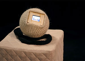 "PLAY", curated by Ariel Shanberg, July 2 - August 21, 2005