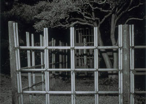 Managing Eden, curated by Kate Menconeri & Ariel Shanberg, August 16 - October 12, 2003