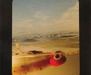"Photography Now 2011", April 9 - May 30, 2011