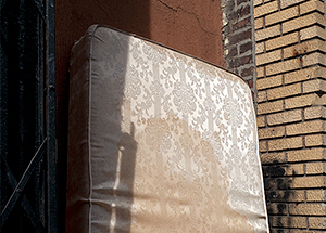 "Made in Woodstock V", January 15 - March 27, 2011
