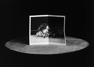 "Presenting/Receiving: Subjecting Photography", curated by Ariel Shanberg, January 12 - March 10, 2002 