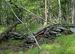 "Made in Woodstock V", January 15 - March 27, 2011