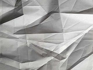 "Photography Now 2012", selections by Natasha Egan, Museum of Contemporary Photography, on view March 10 - April 22, 2012