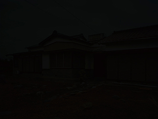 "Photography Now 2012", selections by Natasha Egan, Museum of Contemporary Photography, on view March 10 - April 22, 2012
