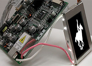 "f|r|a|m|e - analysis of movement", curated by Ariel Shanberg, June 26 - August 22, 2004