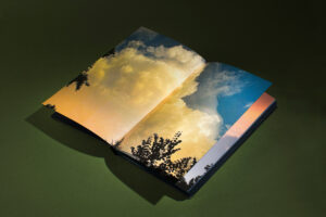 “Meet the Artist” with Mark Alice Durant