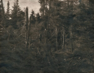 Washing Away the Blues: Toning Cyanotypes