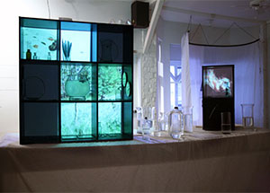 "The Frustration of Expression", curated by Dorota Czerner, on view November 13 - December 23, 2010