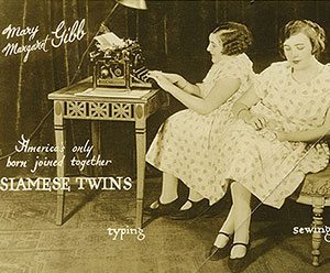 "Doubles, Dualities, & Doppelgängers", conceived by Ariel Shanberg and organized by Akemi Hiatt, July 14 - September 9, 2012