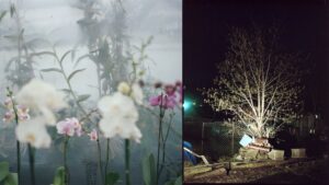 Artist Talk with Juan Madrid and Veronica Melendez