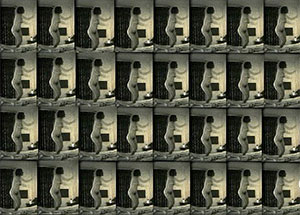 "f|r|a|m|e - analysis of movement", curated by Ariel Shanberg, June 26 - August 22, 2004