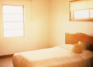 "Put Yourself in the Picture", curated by Tom Gitterman, March 24 - May 13, 2001