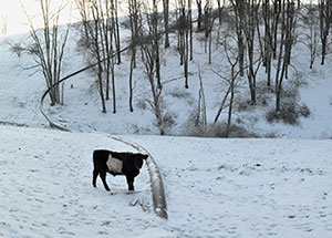 "Marcellus Shale Documentary Project" curated by Laura Domencic, June 29 - August 18, 2013