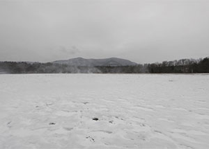 Landscape Forever, Dion Ogust, January 9 - February 28, 2010