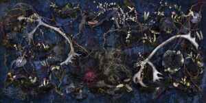 Artist Talk with Tanya Marcuse