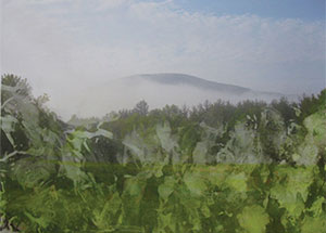 Landscape Forever, Dion Ogust, January 9 - February 28, 2010