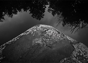 Landscape Forever, Dion Ogust, January 9 - February 28, 2010