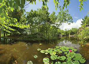 Landscape Forever, Dion Ogust, January 9 - February 28, 2010