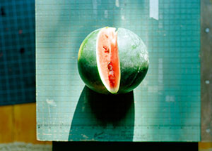"Photography Now 2010 - Either/And, Part 1: The New Skew", June 12 - July 18 2010