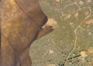 Landscape Forever, Dion Ogust, January 9 - February 28, 2010