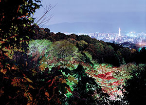 "Photography Now 2010 - Either/And, Part II: The New Docugraphics", July 24 - September 12, 2010