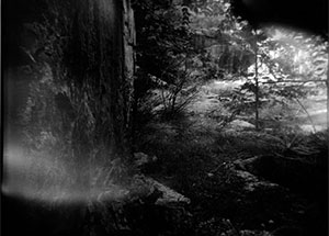 Landscape Forever, Dion Ogust, January 9 - February 28, 2010