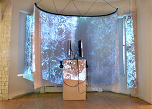 "The Frustration of Expression", curated by Dorota Czerner, on view November 13 - December 23, 2010