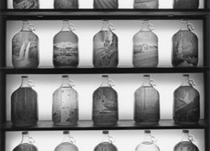 Managing Eden, curated by Kate Menconeri & Ariel Shanberg, August 16 - October 12, 2003