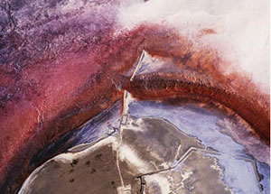 Managing Eden, curated by Kate Menconeri & Ariel Shanberg, August 16 - October 12, 2003