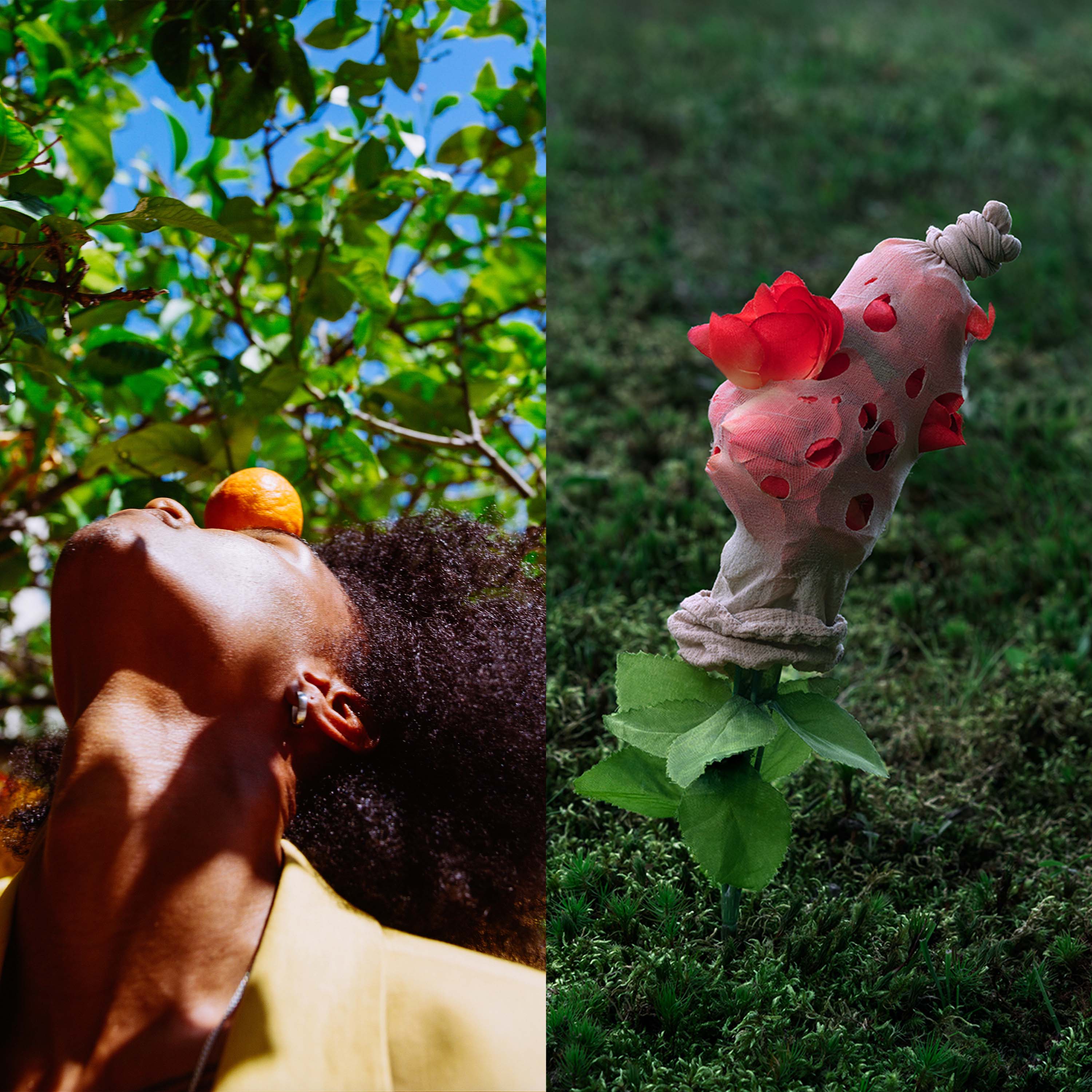 “Meet the Artist” with Myles Loftin and Zhidong Zhang