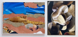 “Meet the Artist” with Letha Wilson and Kate Steciw
