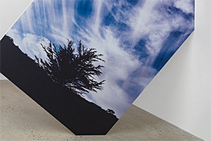 "Mine.Yours.Ours." curated by Rachel Adams, on view June 27 - September 7, 2015.